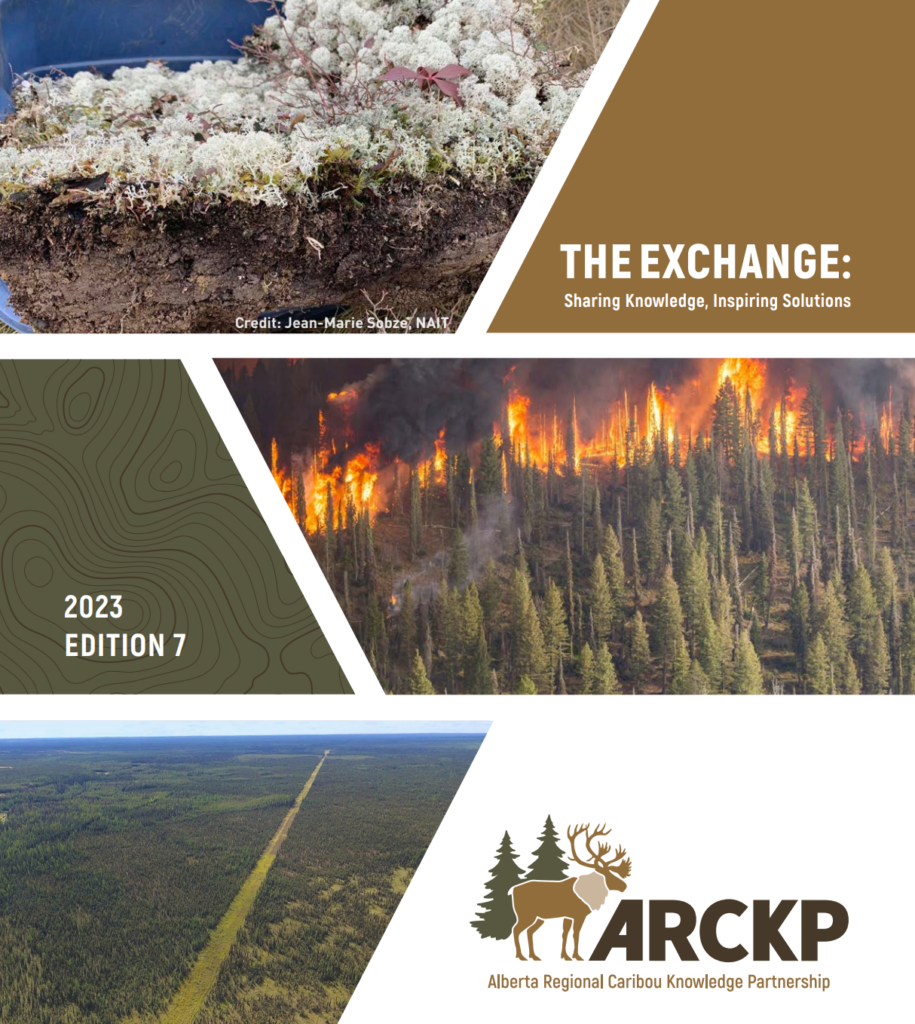 the exchange edition 7