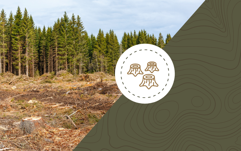 a harvest block with a stump icon