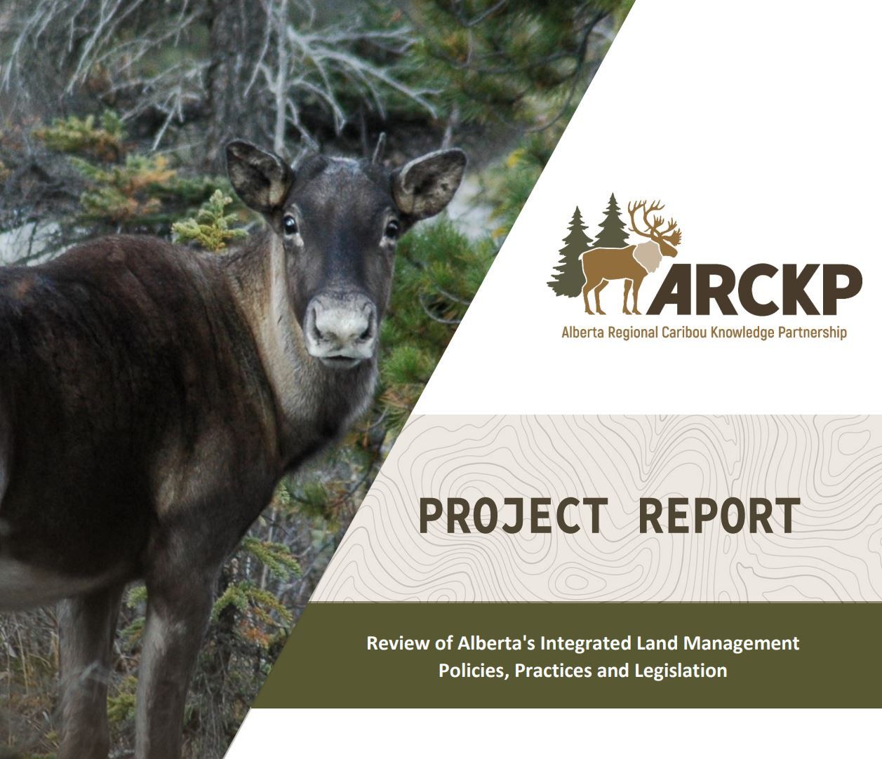 review of Alberta's integrated land management policies practices and legislation project report