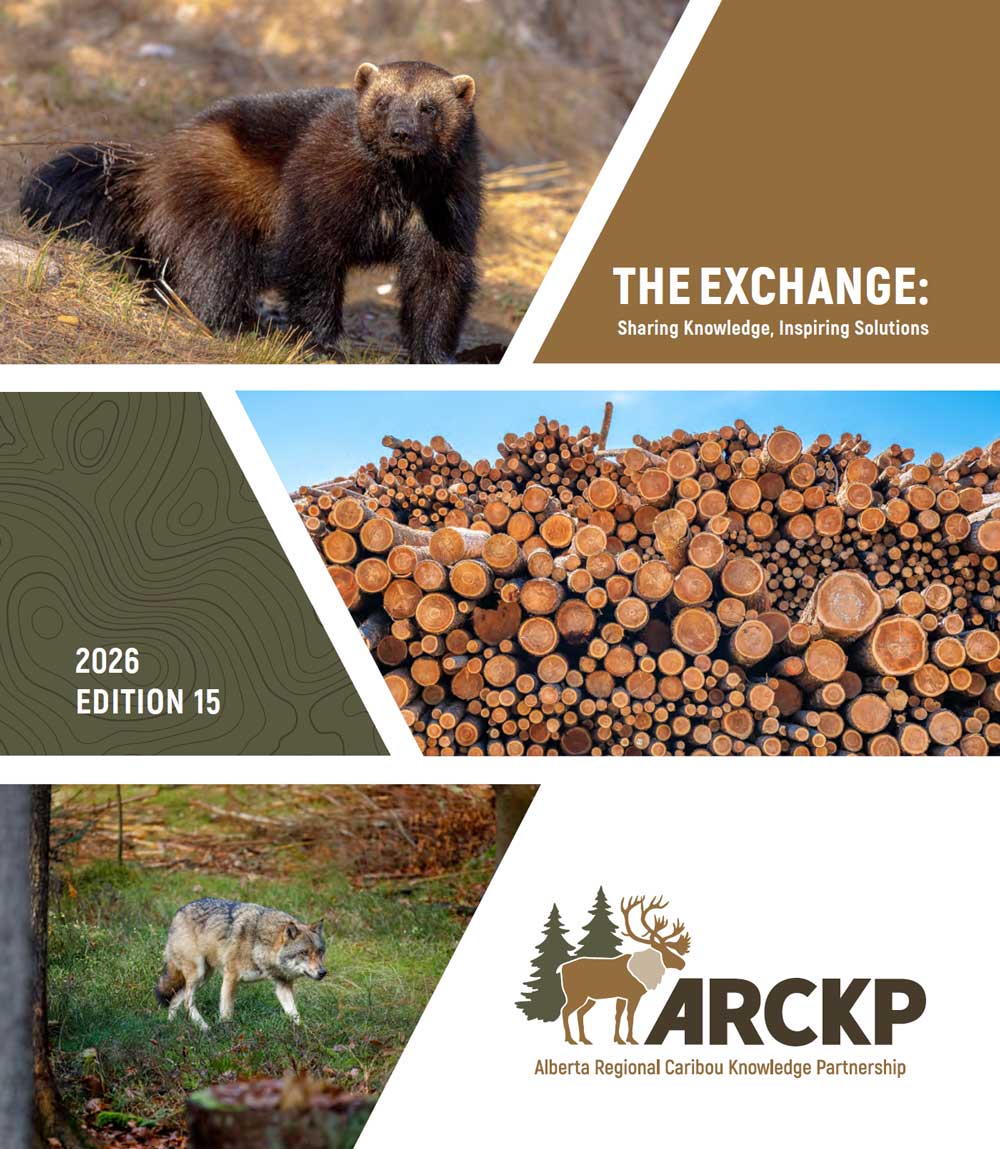 The Exchange edition 15 grid. ARCKP